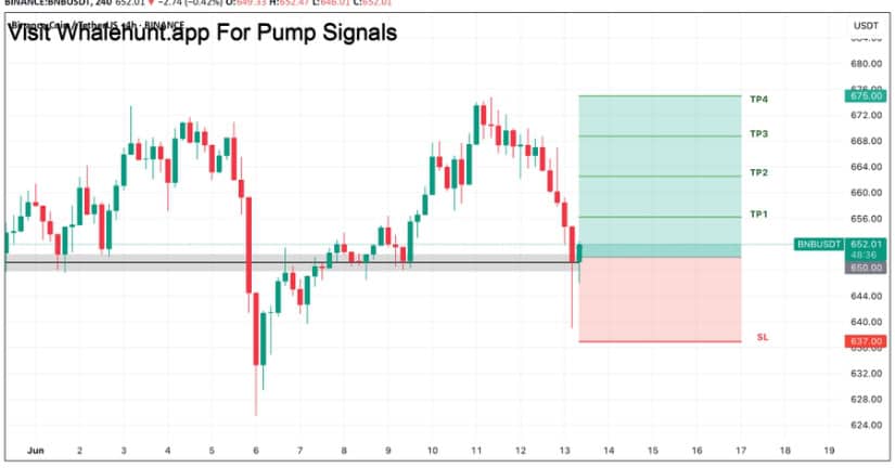 Binance Coin