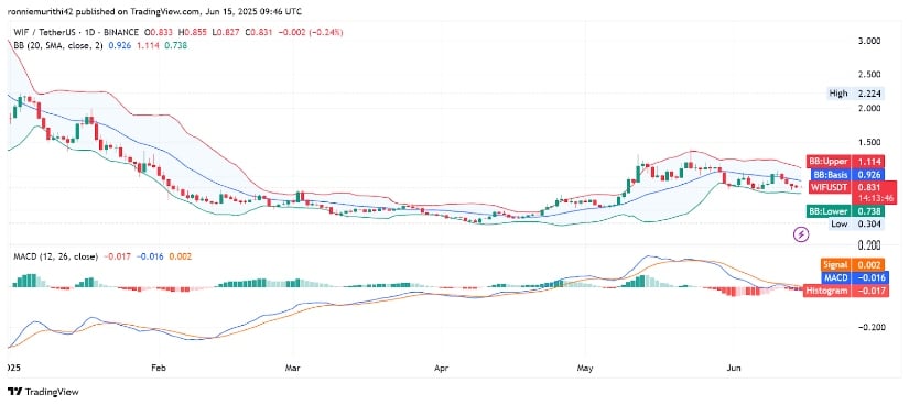 Indicators Point to Weakening Momentum on the Daily Chart