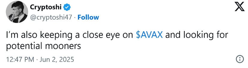 AVAX Avalanche Price Stays on Radar
