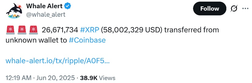 Ripple Whale Moves $58M—Market Holds Steady