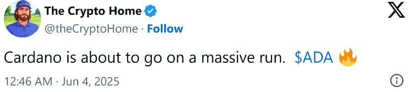 Social Excitement Joins the Growing Cardano Buzz