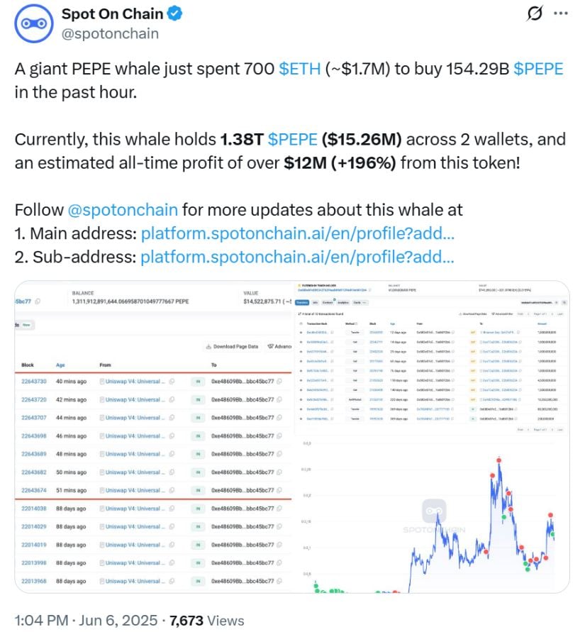 Spot on Chain 