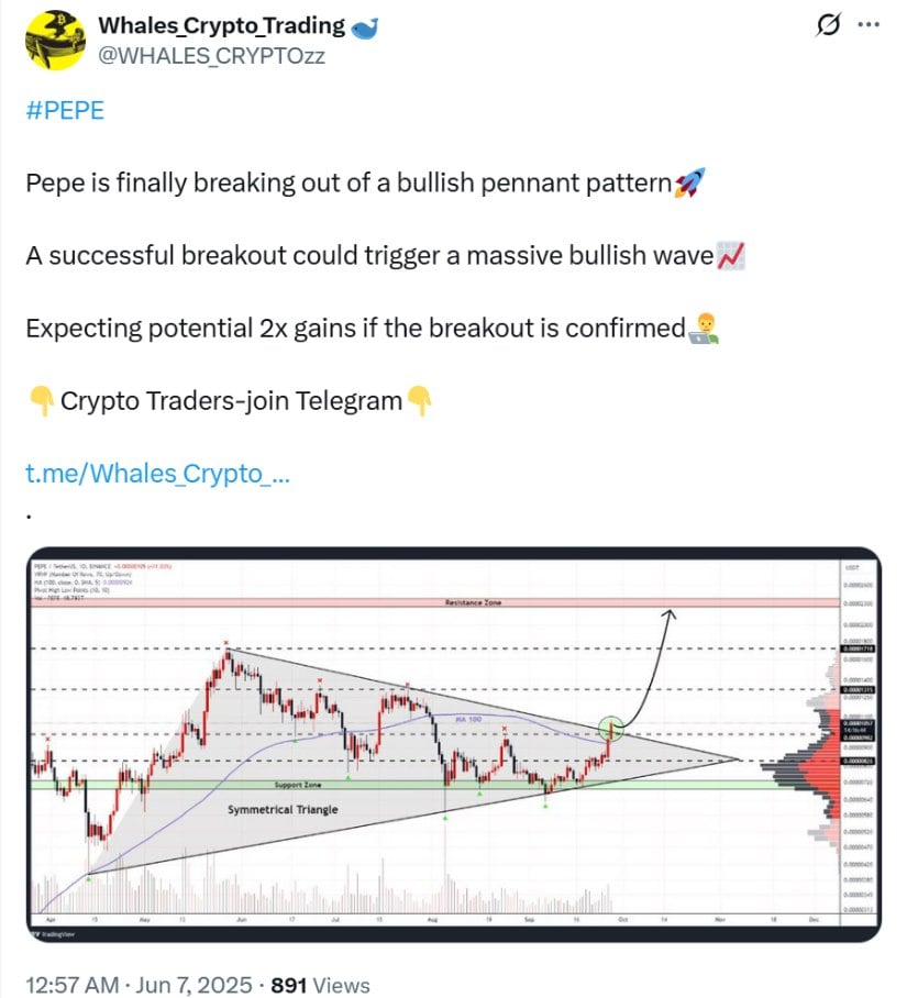 Whales Crypto Trading