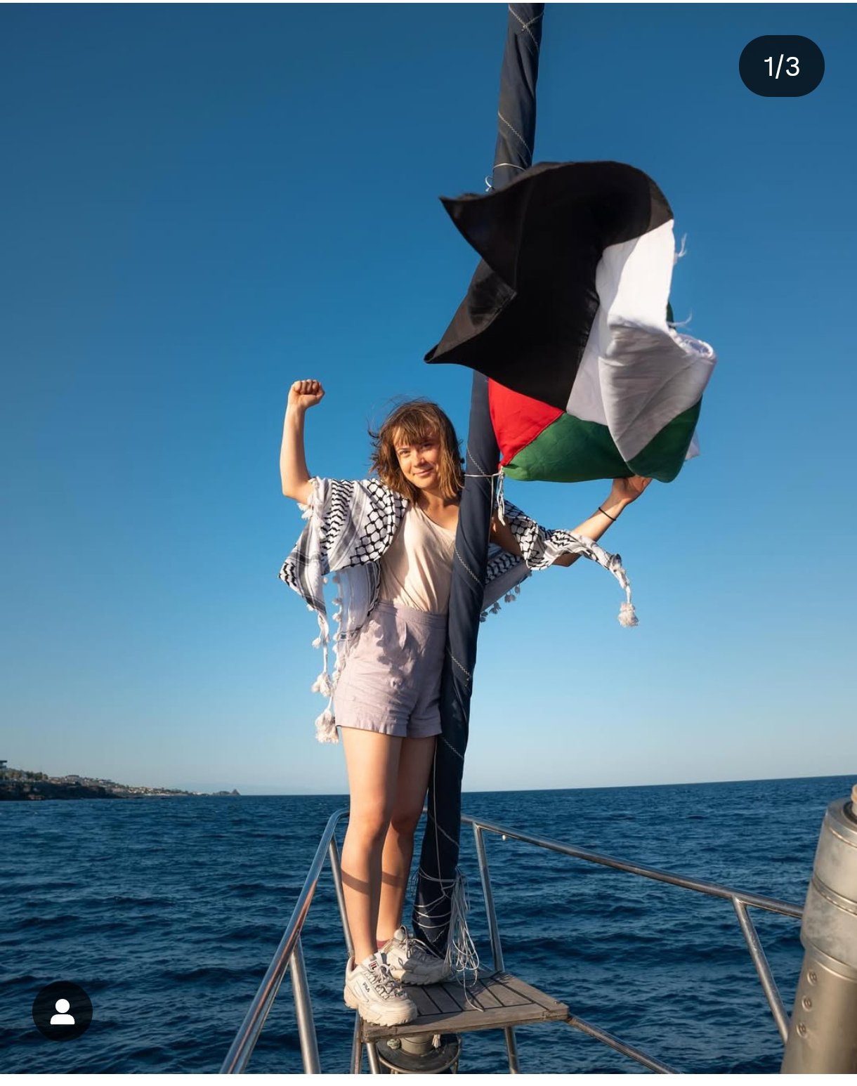 Thunberg was one of 12 passengers on board the Madleen, a boat carrying aid destined for people in war-torn Gaza.