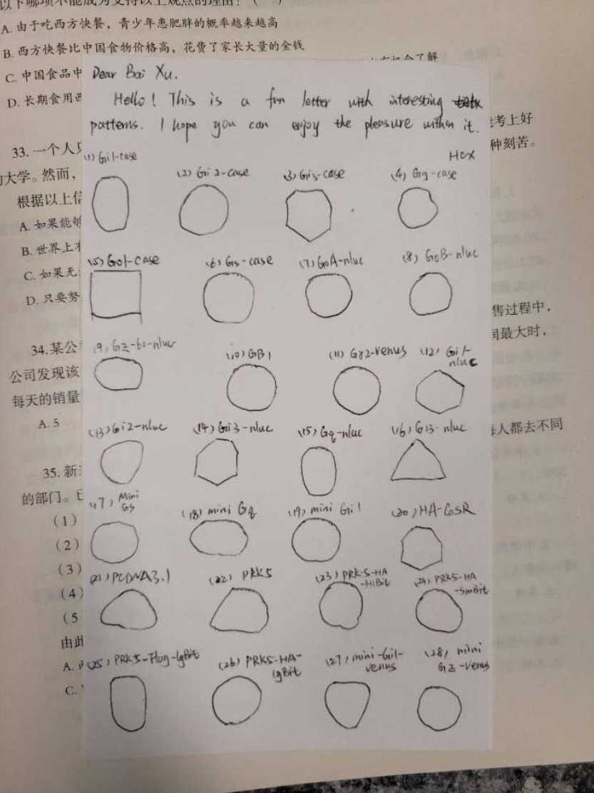 Handwritten page with diagrams and labels.