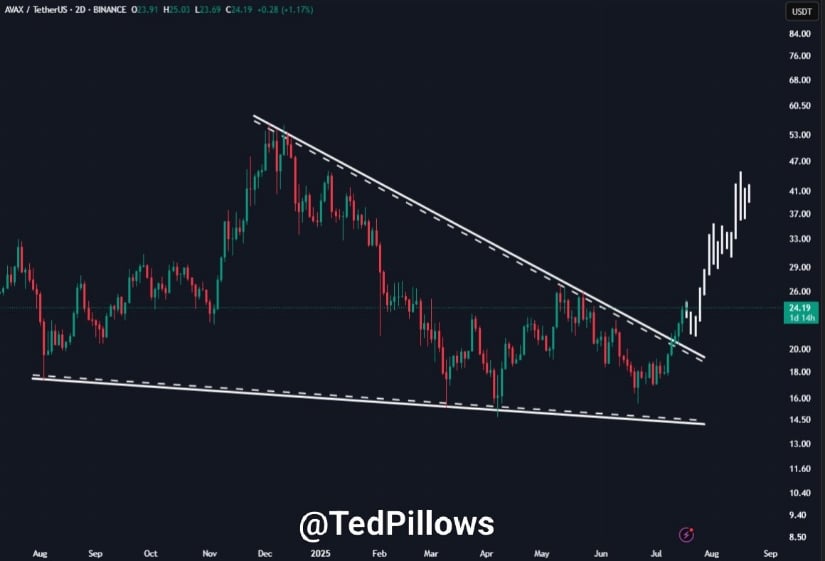 TedPillows